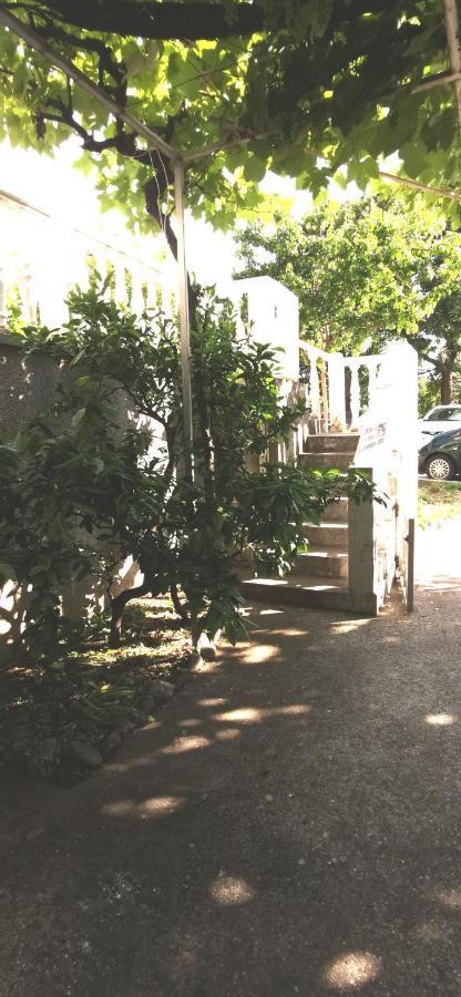 Sobe I Apartmani Marovic Petrovac Extérieur photo
