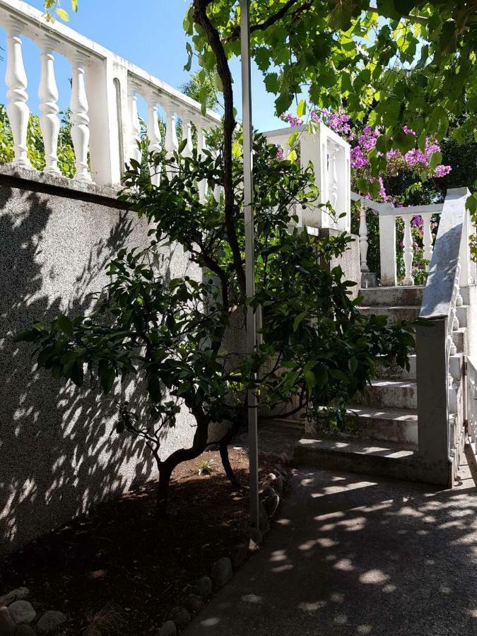 Sobe I Apartmani Marovic Petrovac Extérieur photo